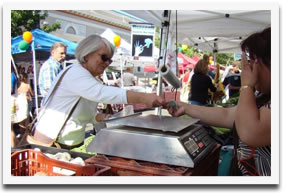 DDBA Farmer's Market